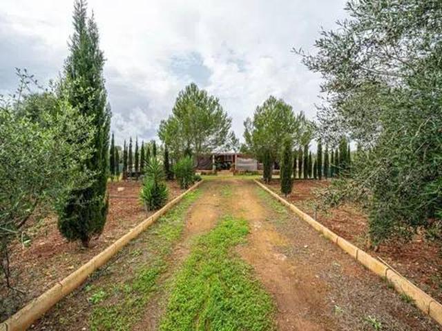 Terreno en Venta en Algaida