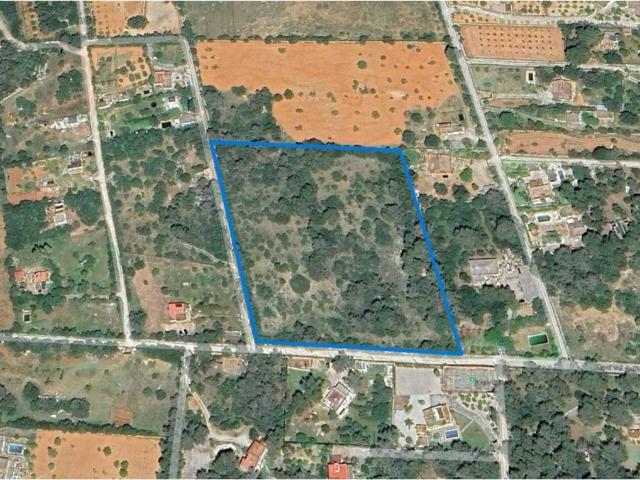 Terreno en Venta en Algaida