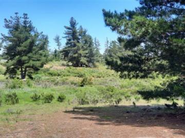 Terreno en Venta en Algarrobo