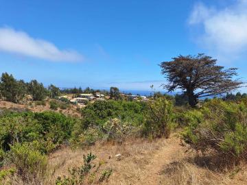 Terreno en Venta en Algarrobo