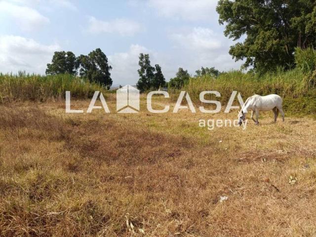 Terreno en Venta en Algeciras