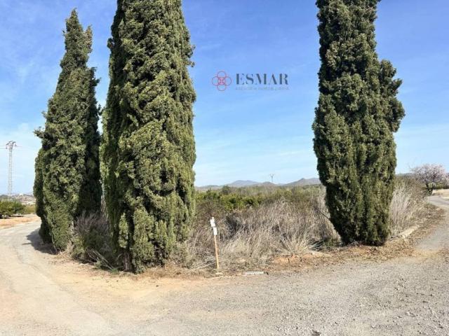 Terreno en Venta en Algimia de Alfara