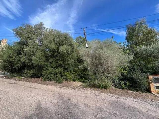Terreno en Venta en Alginet