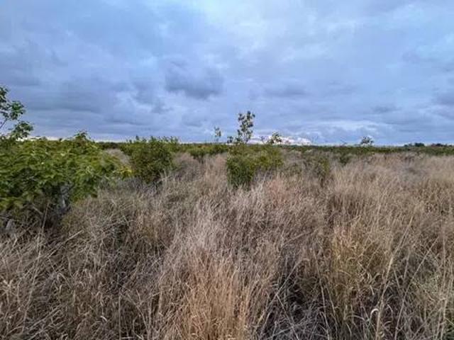 Terreno en Venta en Alginet