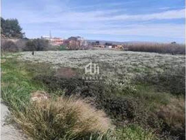 Terreno en Venta en Alguaire