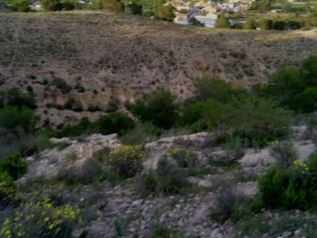 Terreno en Venta en Alguazas