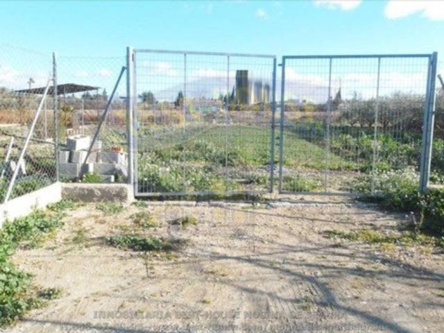 Terreno en Venta en Alguazas
