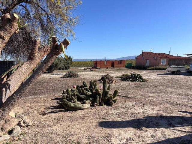 Terreno en Venta en Alguazas