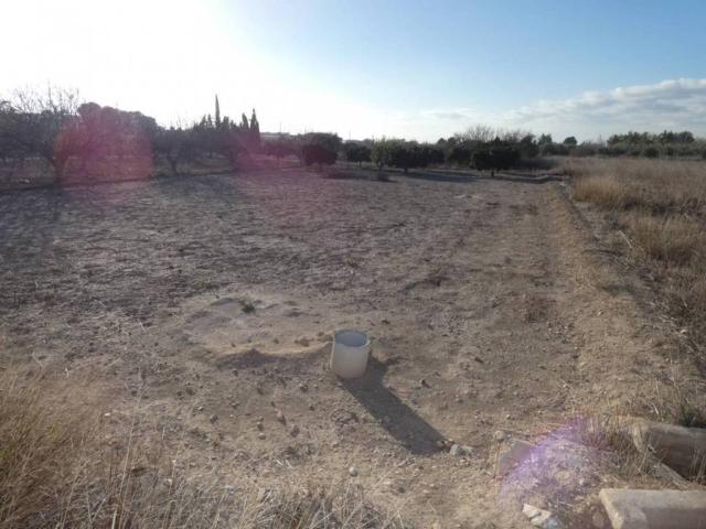 Terreno en Venta en Alguazas