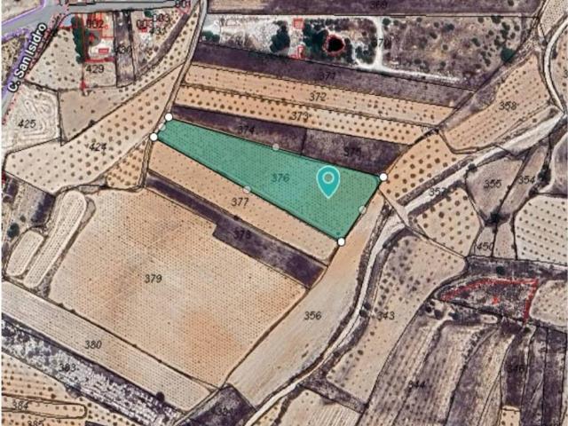 Terreno en Venta en Algueña