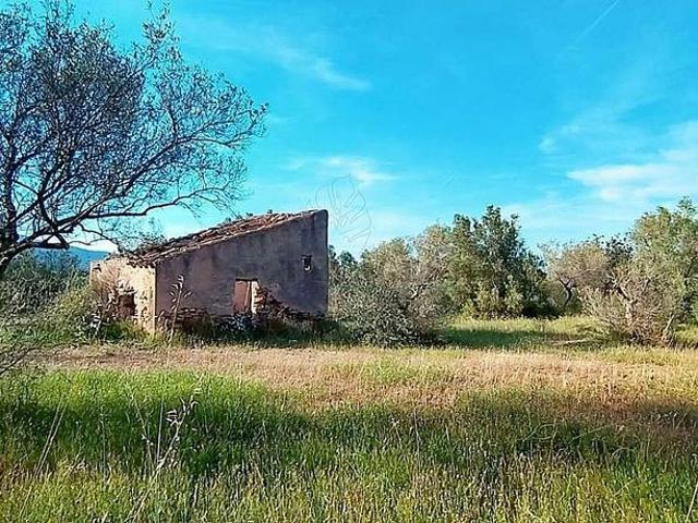 Terreno en venta en Aldover, de 15.668 m² por 55.000