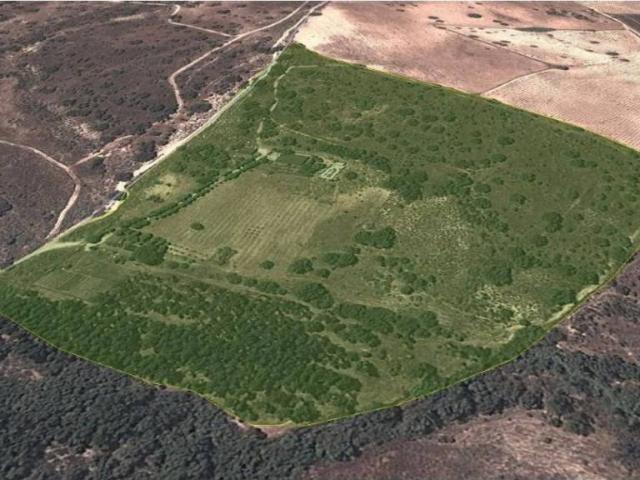 Terreno en Venta en Aldea del Fresno