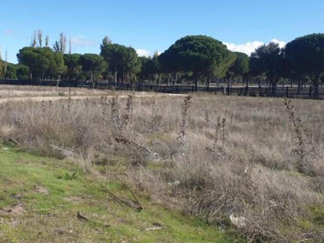 Terreno en venta en Aldeamayor de San Martín, ALDEAMAYOR DE S.,MARTIN