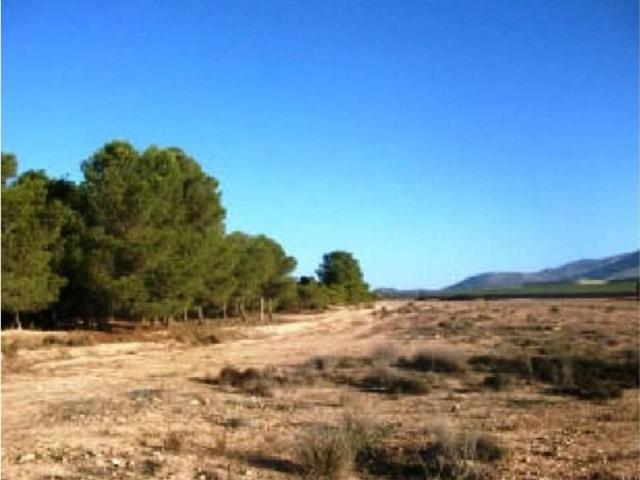 Terreno en Venta en Aledo