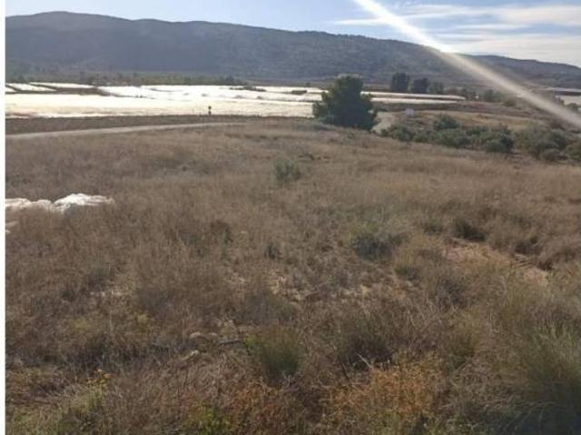 Terreno en Venta en Aledo