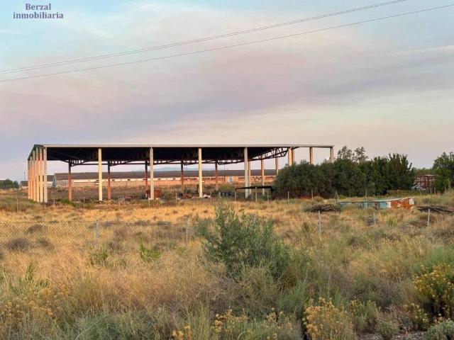 Terreno en Venta en Alfaro