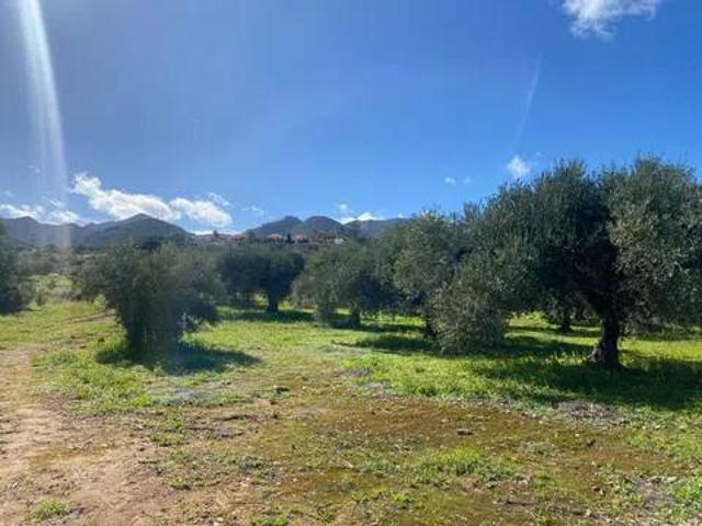 Terreno en Venta en Alhaurín de la Torre