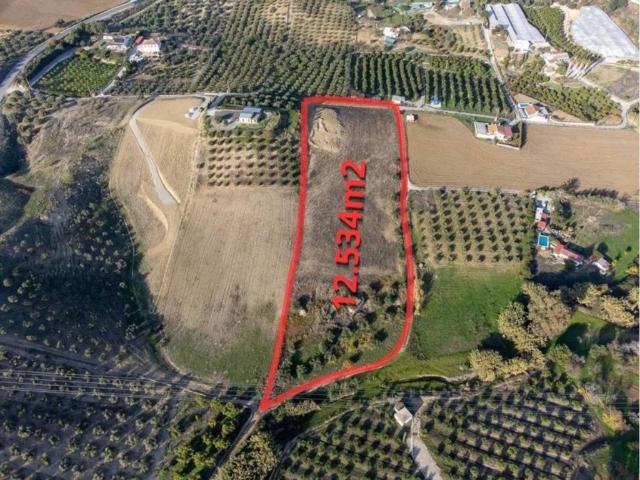 Terreno en Venta en Alhaurín de la Torre