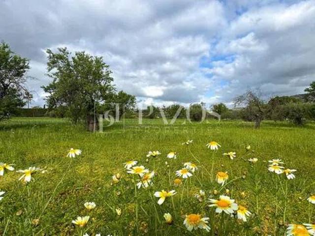 Terreno en Venta en Alhaurín de la Torre