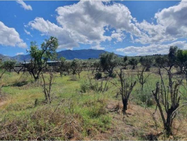 Terreno en Venta en Alhaurín de la Torre