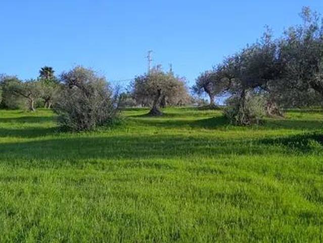 Terreno en Venta en Alhaurín El Grande