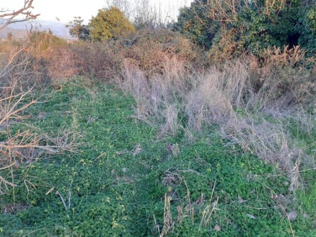 Terreno en Venta en Alhaurín El Grande