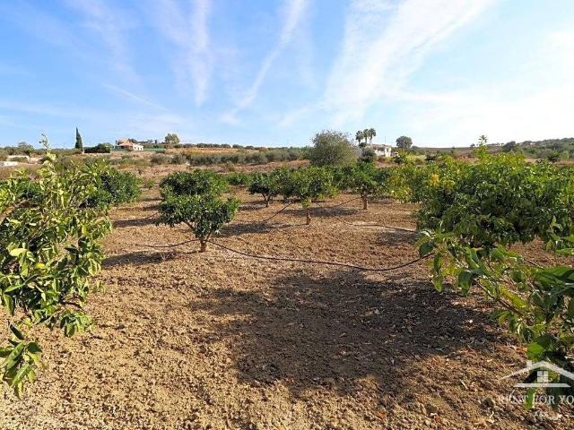 Terreno en Venta en Alhaurín El Grande