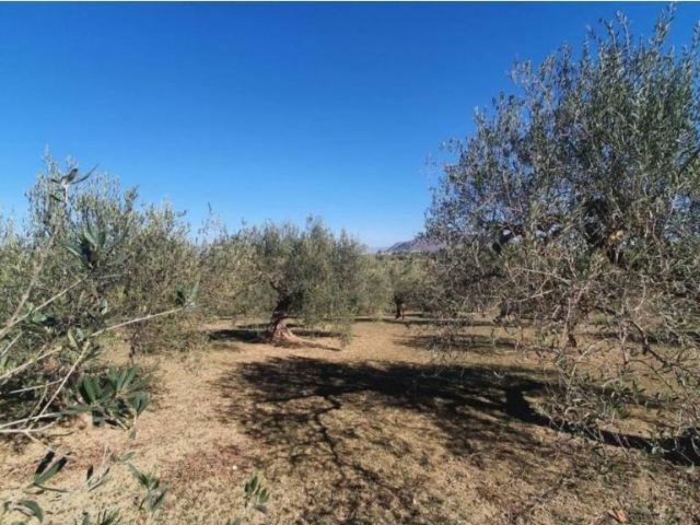 Terreno en Venta en Alhaurín El Grande
