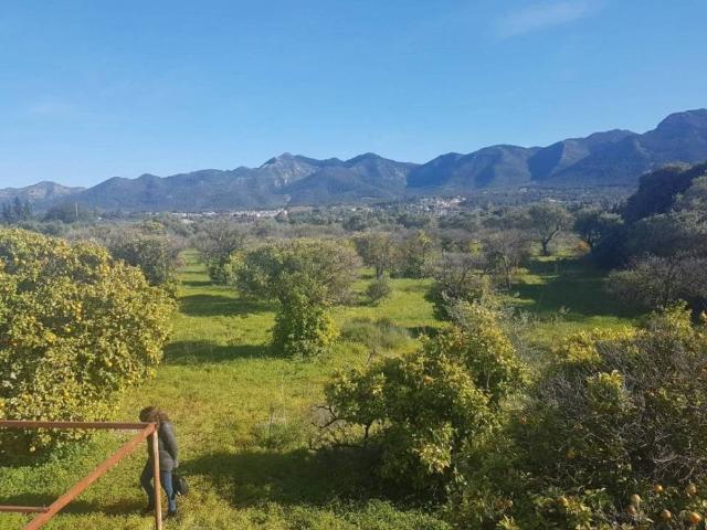 Terreno en Venta en Alhaurín El Grande