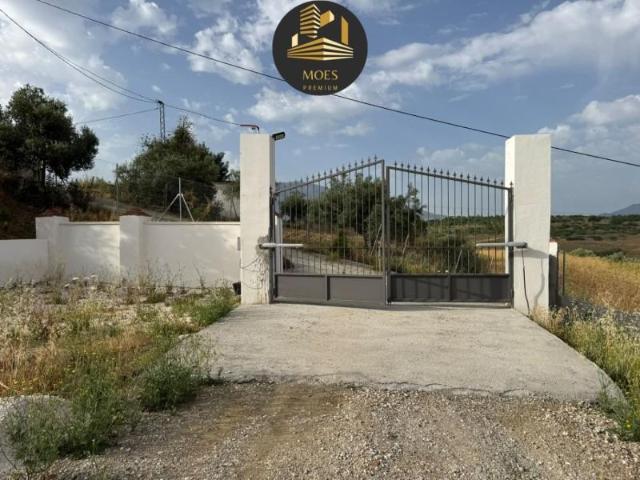 Terreno en venta en Alhaurín el Grande, Alhaurín El Grande