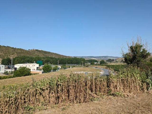 Terreno en venta en Alhama de Granada, CARRETERA