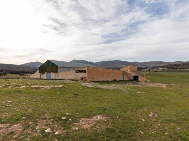 Terreno en Venta en Alhama de Granada