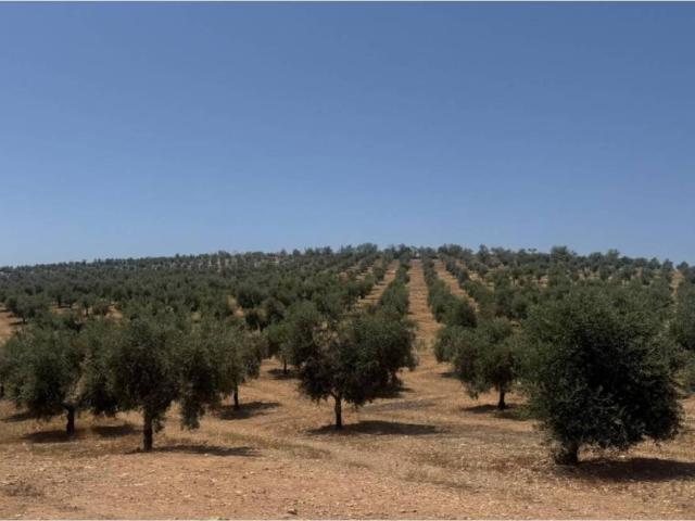 Terreno en Venta en Alhama de Granada
