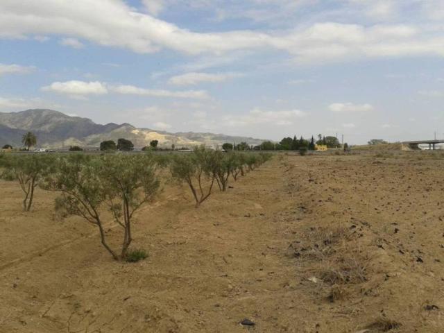 Terreno en Venta en Alhama de Murcia