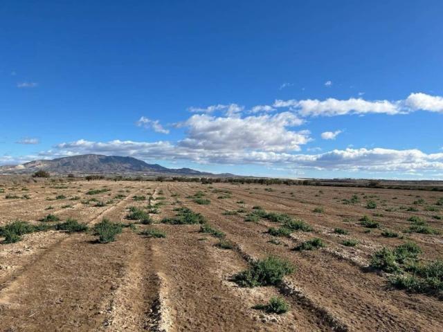 Terreno en Venta en Alhama de Murcia