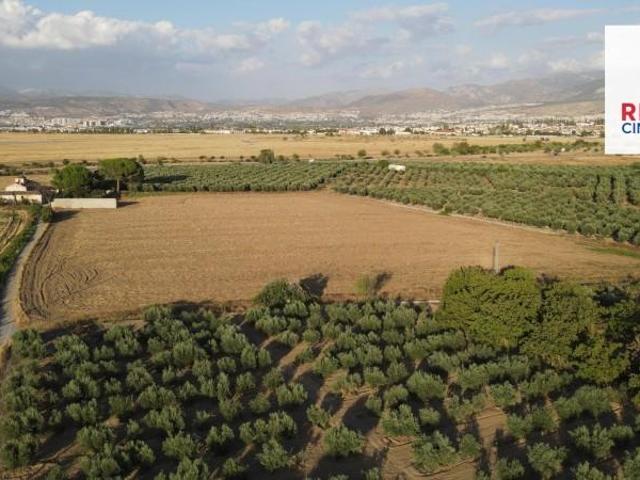 Terreno en venta en Alhendín, Polideportivo