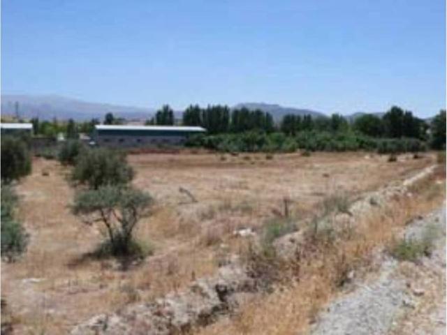 Terreno en Venta en Alhendín