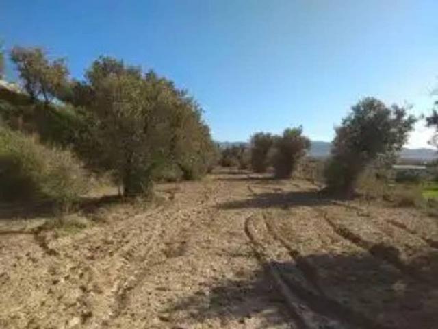 Terreno en Venta en Alhendín