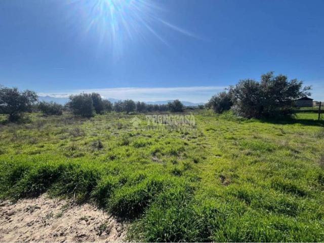 Terreno en Venta en Alhendín