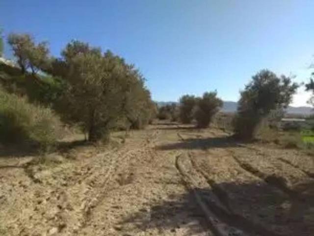 Terreno en Venta en Alhendín
