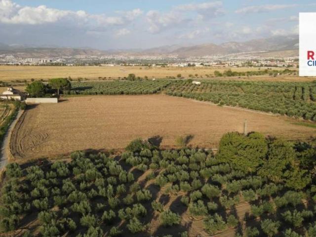 Terreno en Venta en Alhendín
