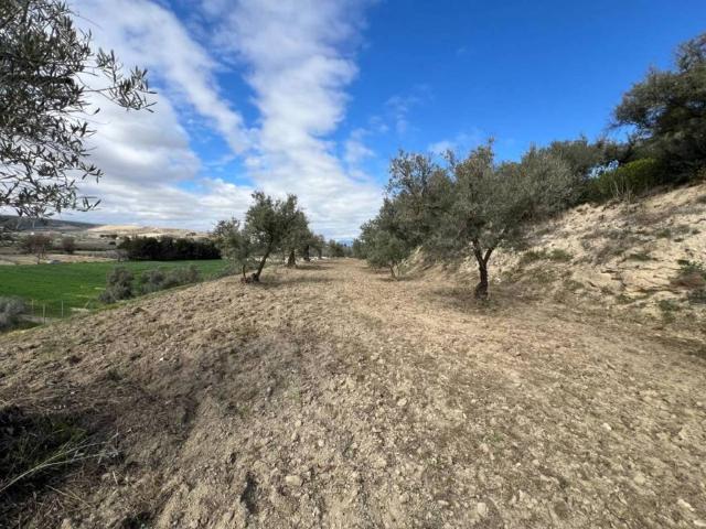 Terreno en Venta en Alhendín