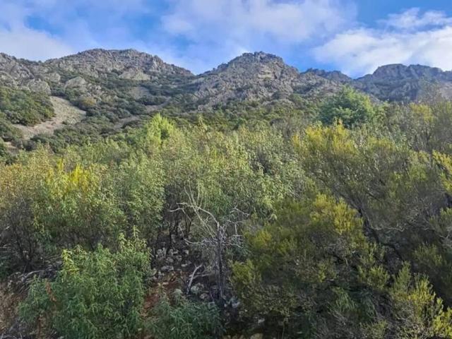 Terreno en Venta en Alía