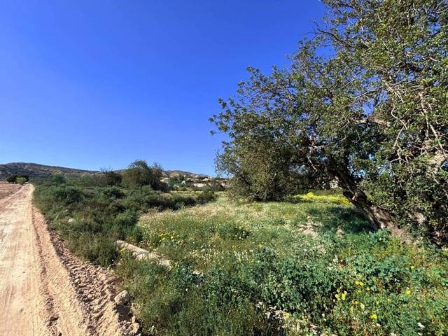 Terreno en Venta en Alicante Alacant