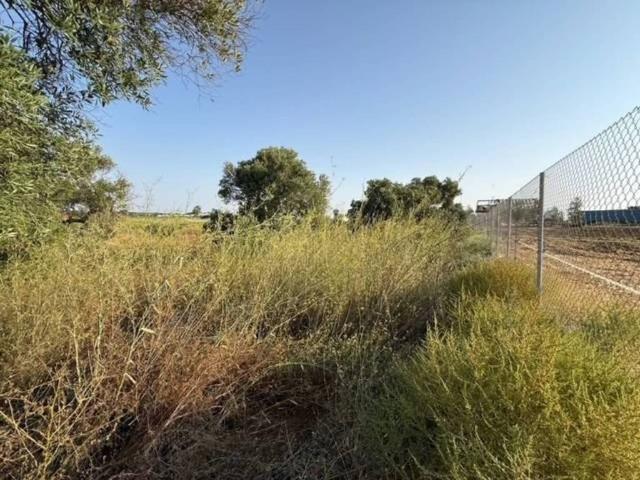Terreno en Venta en Aljaraque