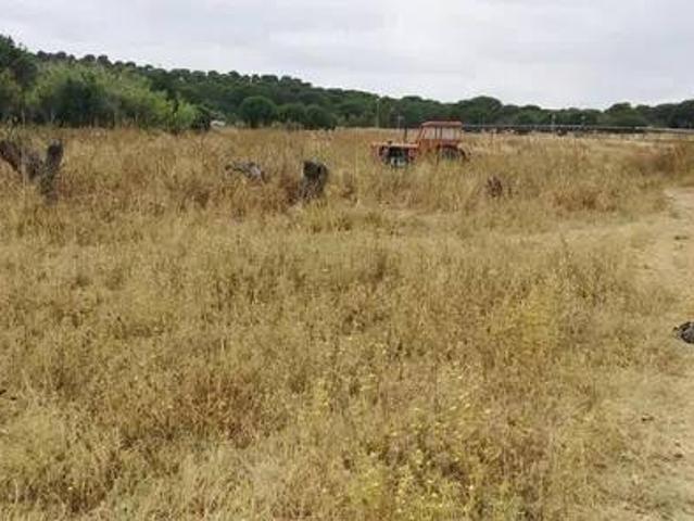 Terreno en Venta en Aljaraque