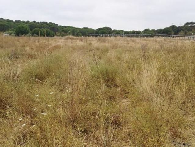 Terreno en venta en Aljaraque, Cañada de pedro gonzalez, 21110
