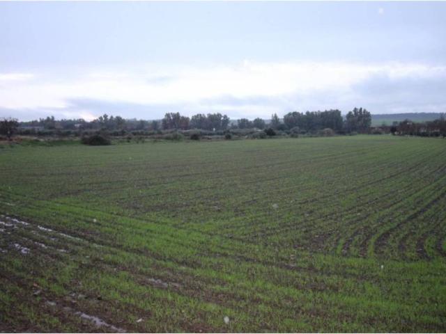 Terreno en Venta en Aljucén