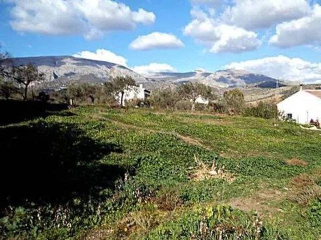 Terreno en Venta en Álora