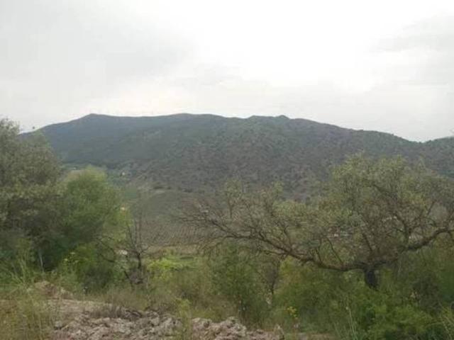 Terreno en Venta en Álora
